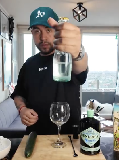 Hendricks Gin Tonic II